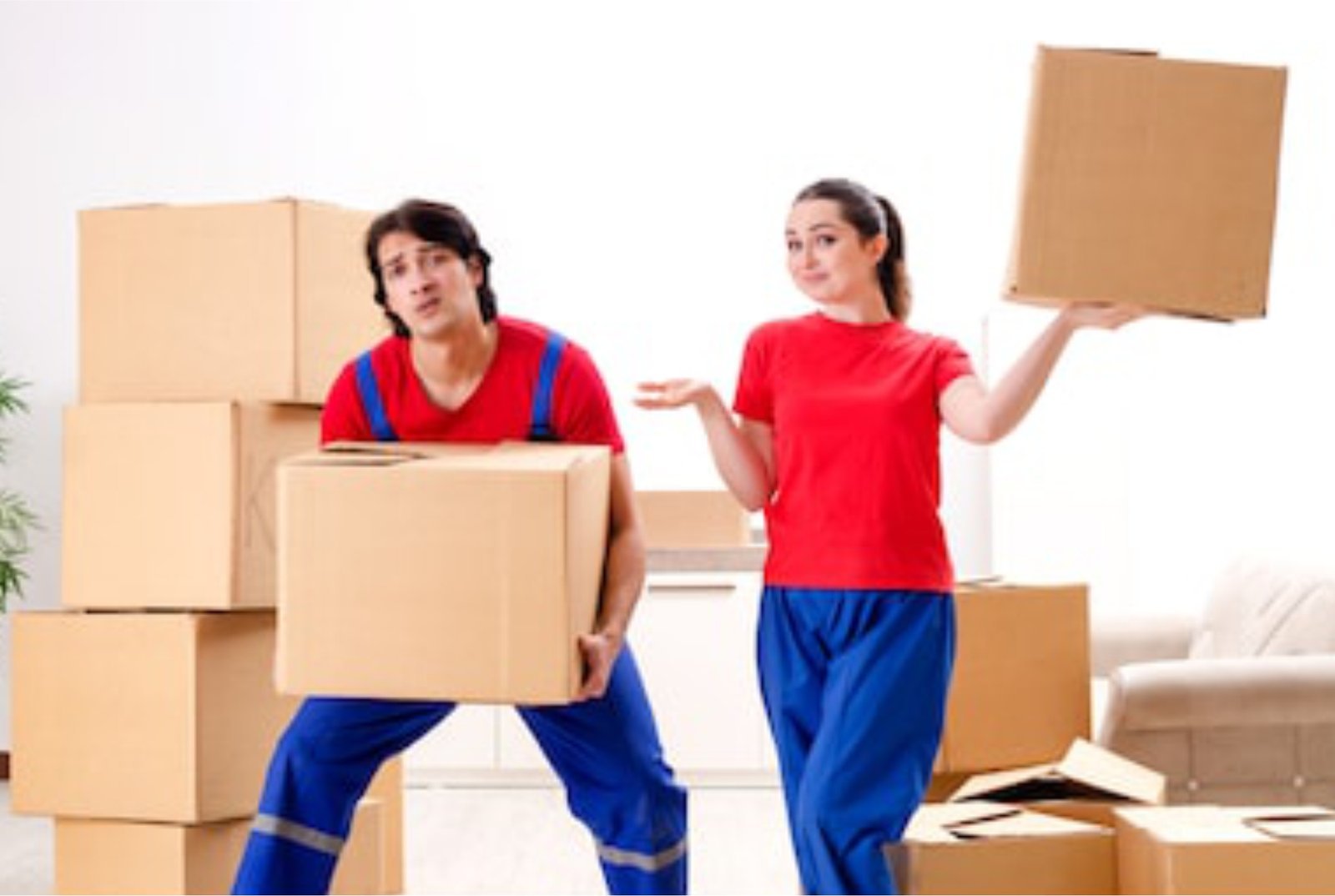 Read more about the article HOW TO EVALUATE BEST MOVERS COMPANY IN UAE